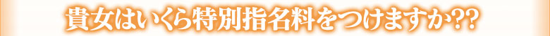 　『貴方はいくら特別指名料をつけますか？？』