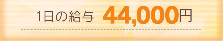 『その日1日の給料　44,000円』